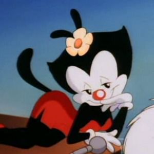 Meet your Posher, Lisette